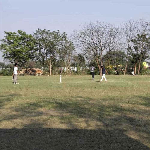 Sports Facilities